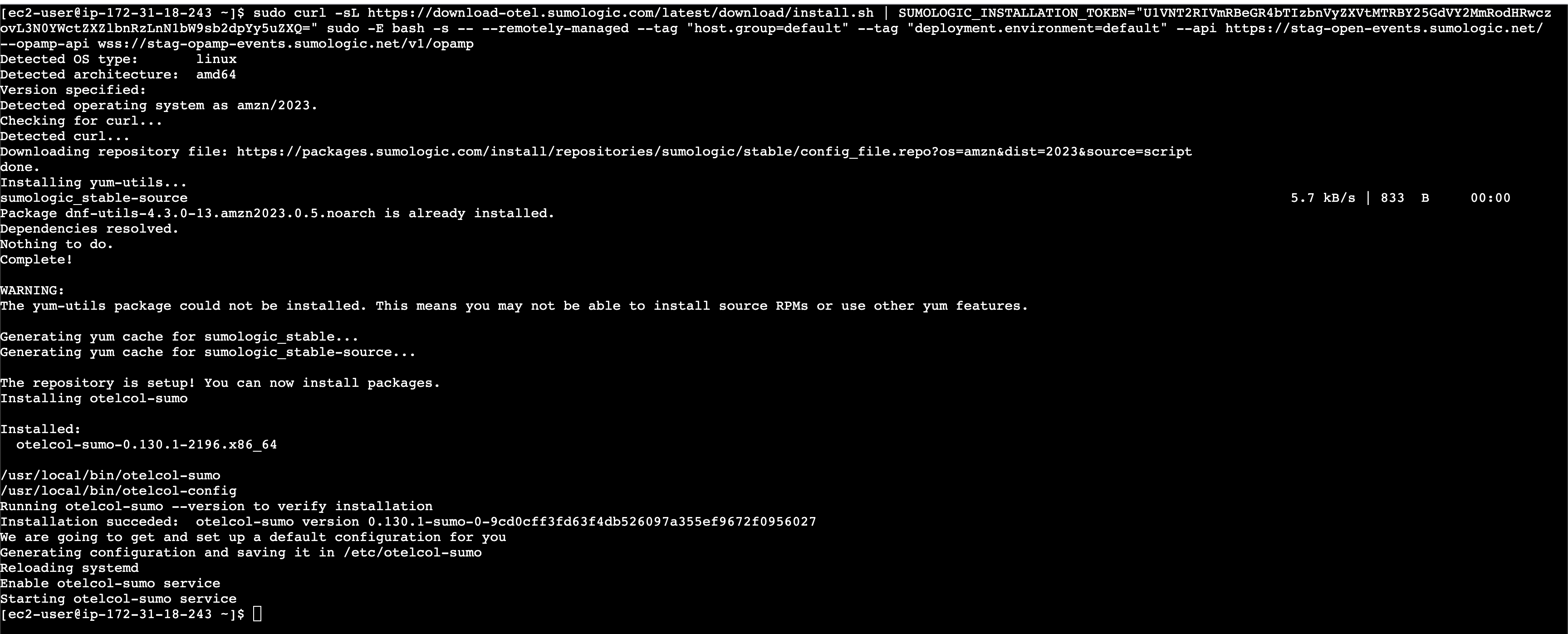 execute command in terminal