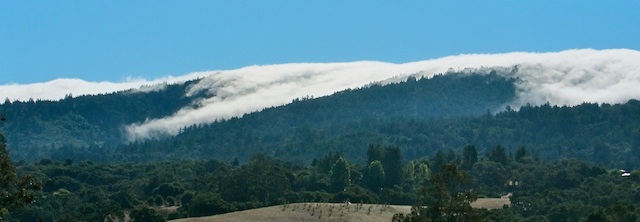 Fog on I-280