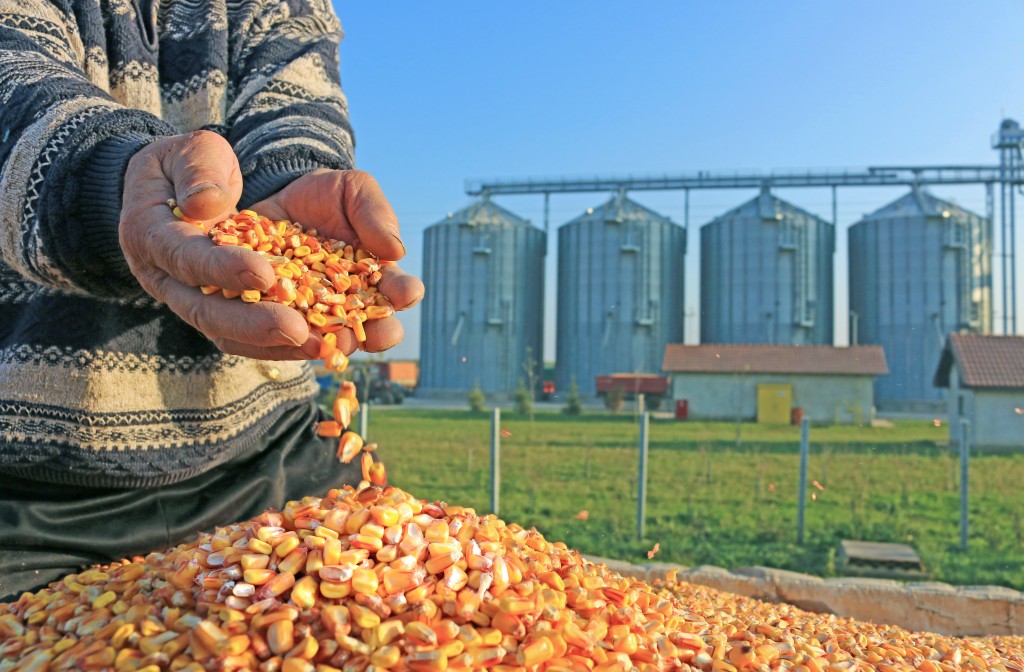 grain-silos-shutterstock_229661359