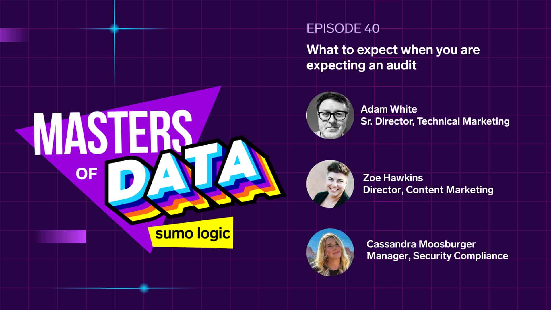 Ep 40 What to expect when you are expecting and audit 2